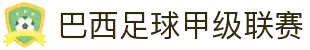 巴西足球甲级联赛 - 官方中文网站